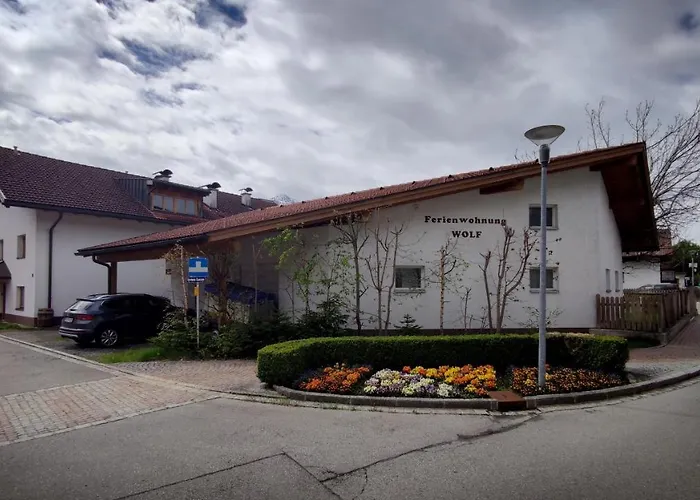 Wolf * Reutte